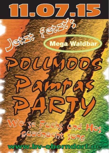 Pampas Party